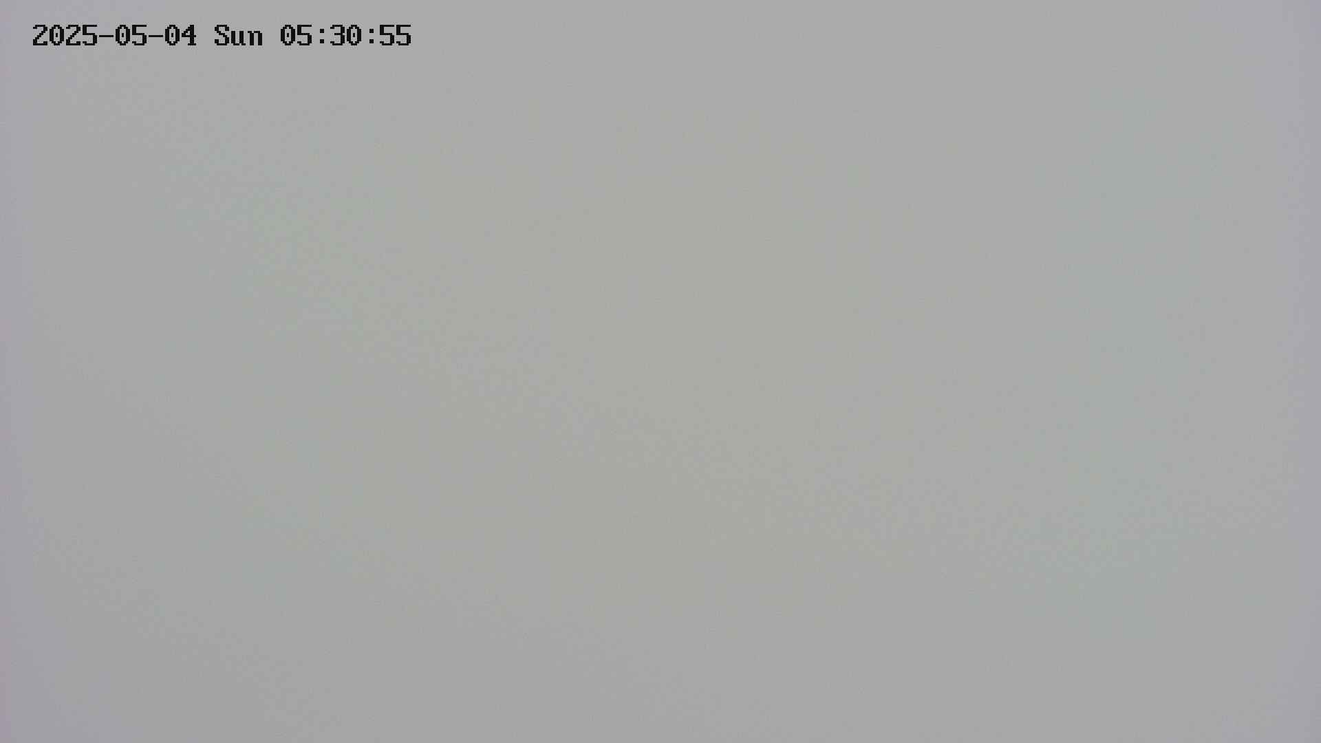 area4-20250504053055.jpg