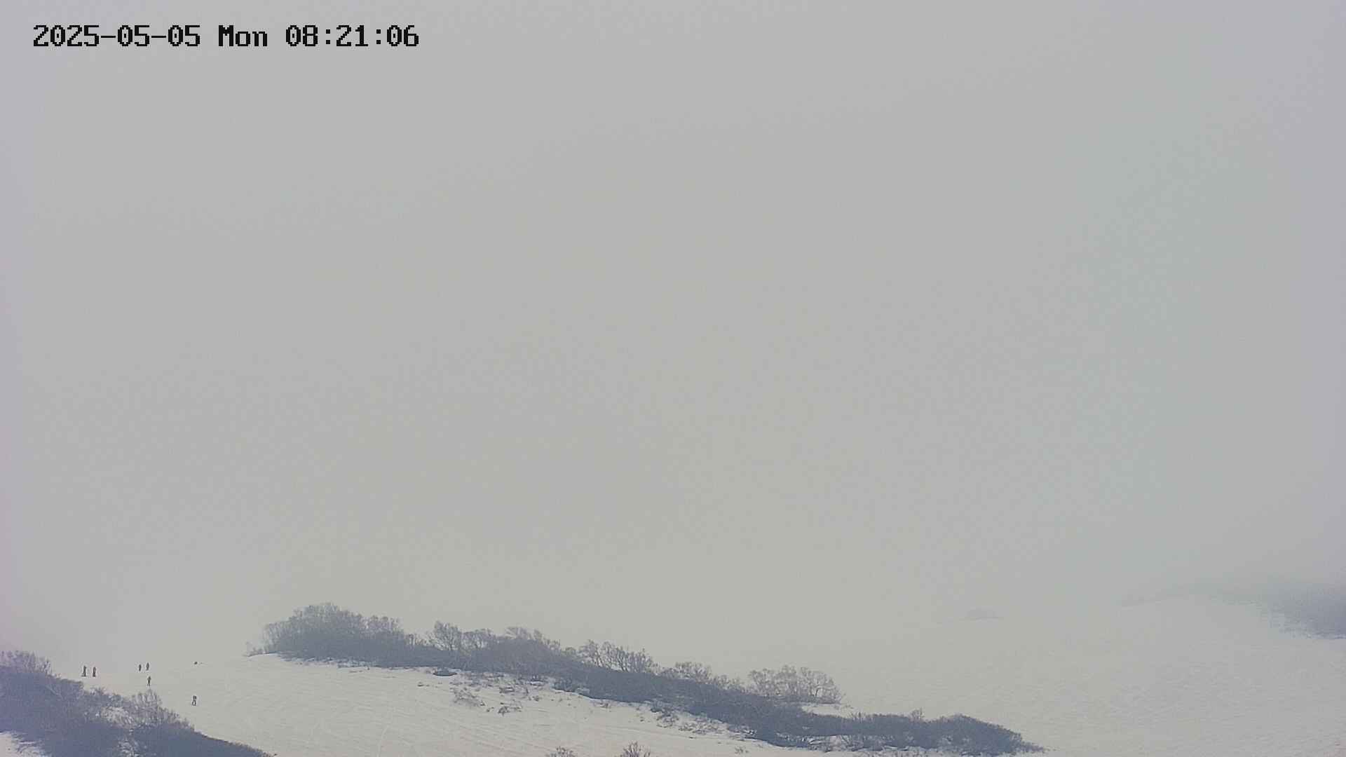 area4-20250505082108.jpg
