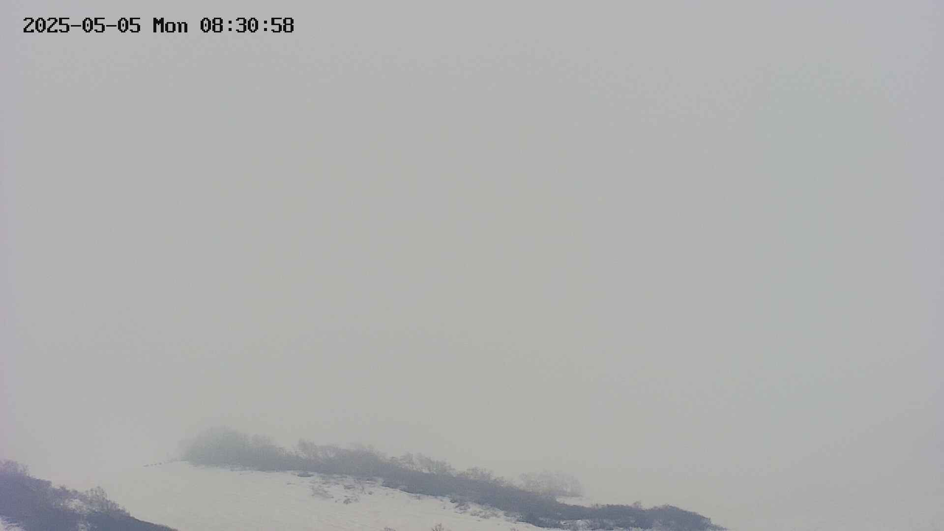 area4-20250505083059.jpg
