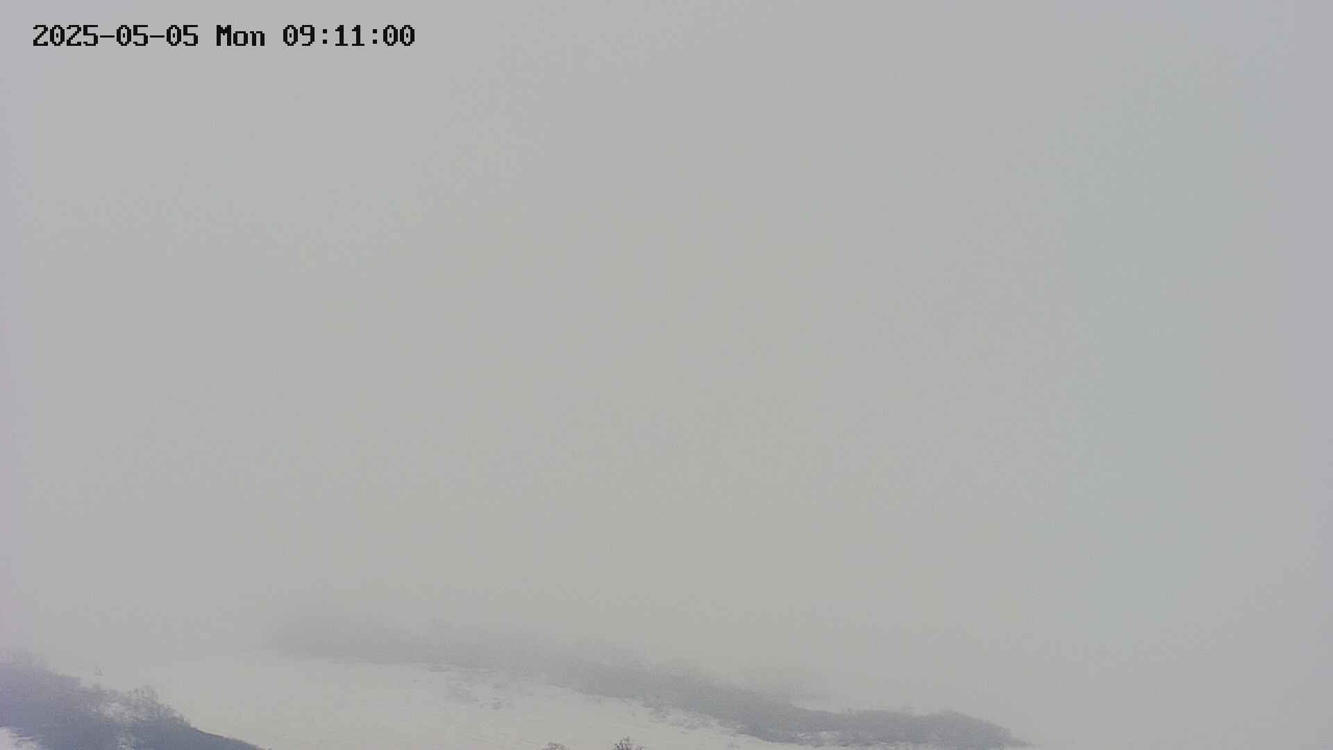 area4-20250505091100.jpg