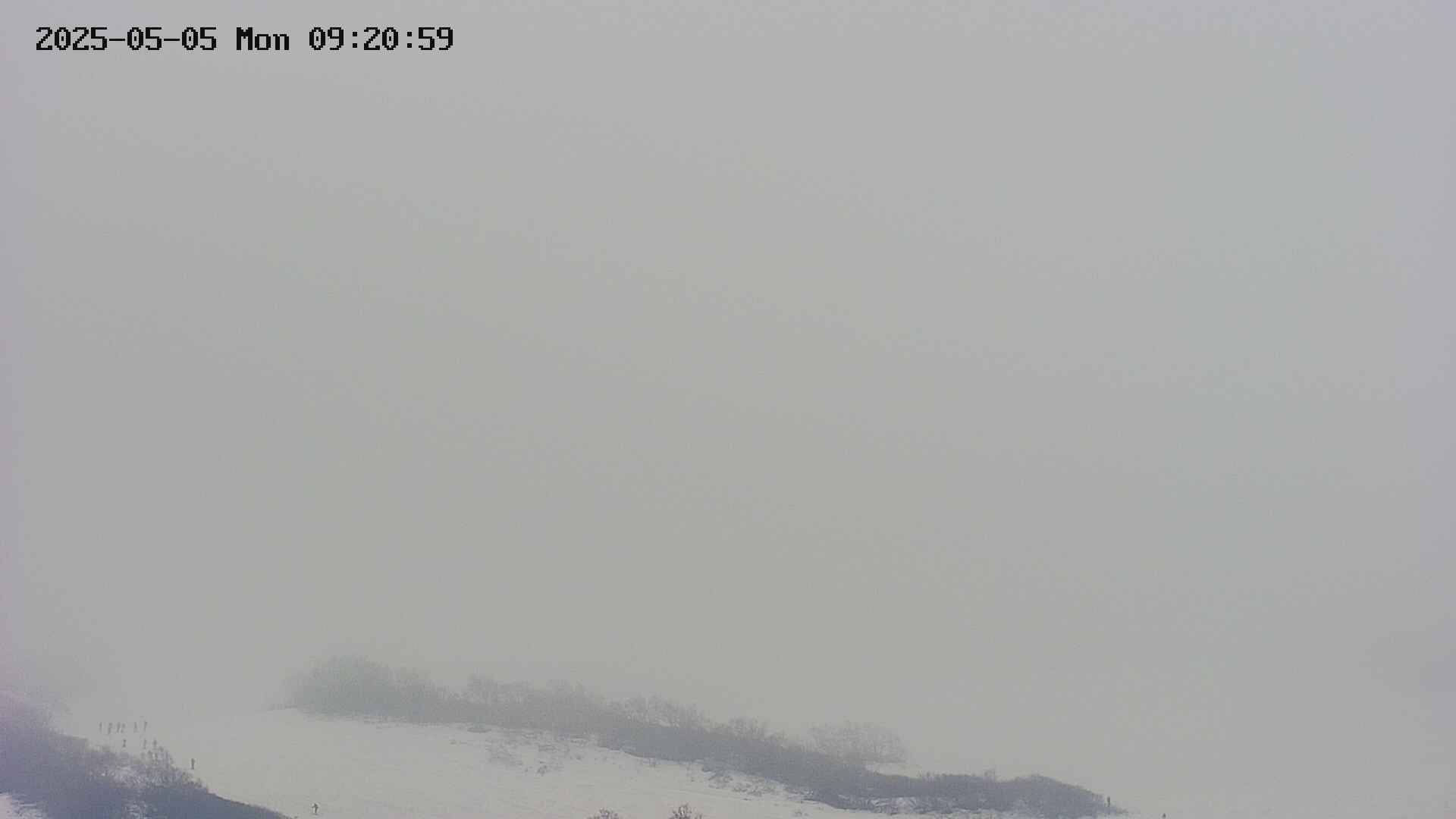 area4-20250505092059.jpg