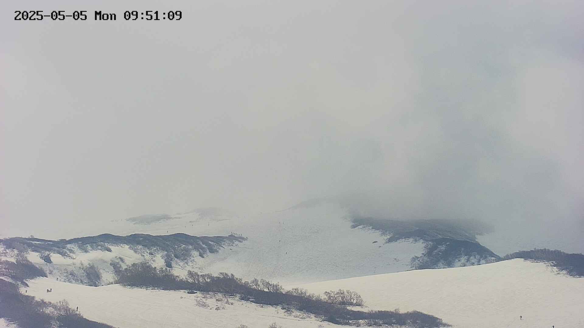 area4-20250505095115.jpg