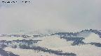 area4-20250505114241.jpg