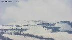 area4-20250505120137.jpg