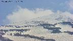 area4-20250505140129.jpg