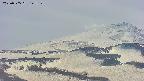 area4-20250505142127.jpg