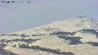 area4-20250505143102.jpg