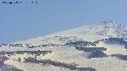 area4-20250505150112.jpg