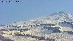 area4-20250505161151.jpg