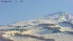 area4-20250505162115.jpg