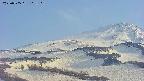 area4-20250505163121.jpg