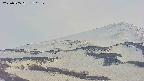 area4-20250505170137.jpg
