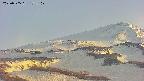 area4-20250505172109.jpg