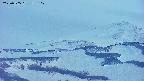 area4-20250505185110.jpg