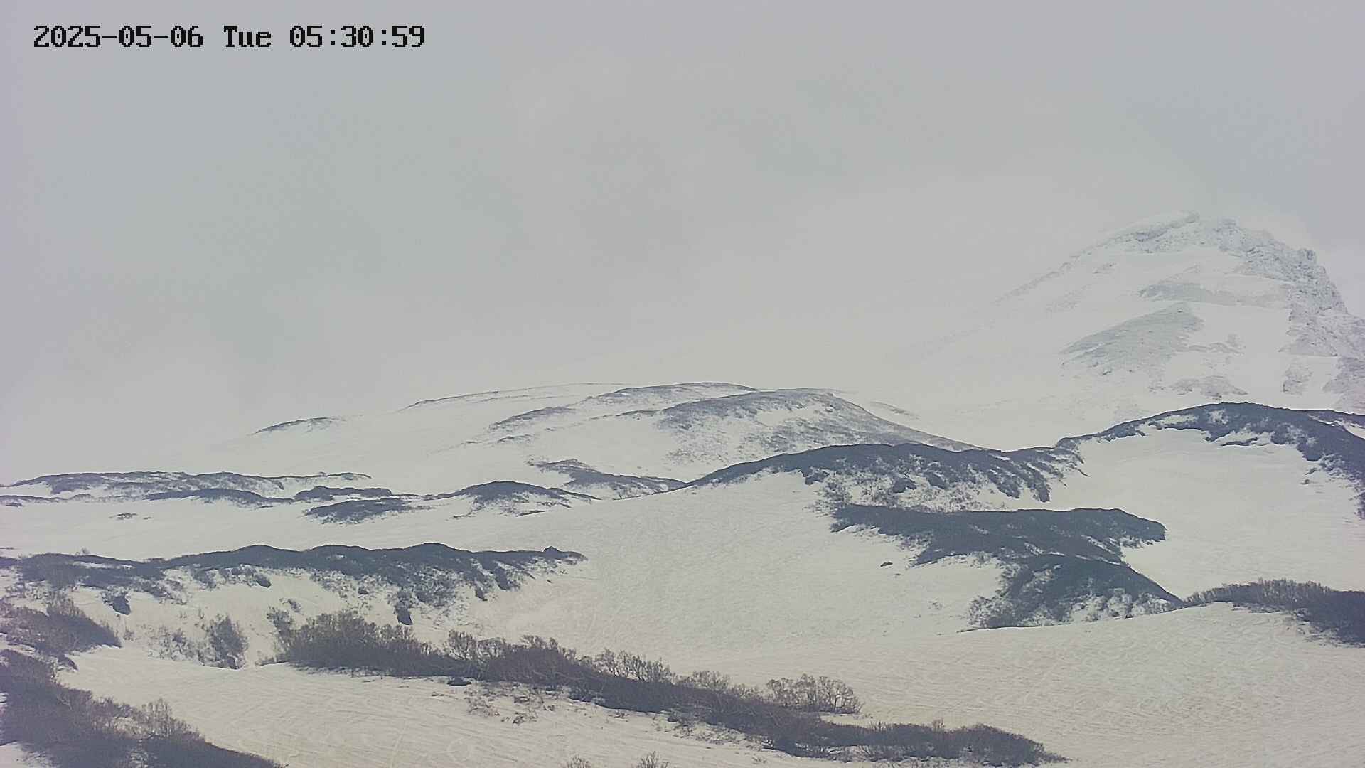 area4-20250506053100.jpg