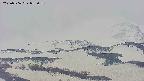 area4-20250506053100.jpg