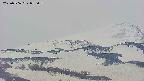 area4-20250506055059.jpg