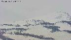 area4-20250506060105.jpg