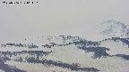 area4-20250506061106.jpg