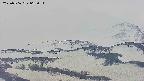 area4-20250506062055.jpg