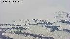 area4-20250506063057.jpg