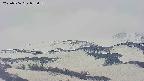 area4-20250506072056.jpg