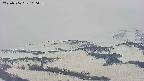 area4-20250506100055.jpg