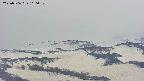 area4-20250506110058.jpg