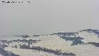 area4-20250506123102.jpg