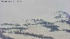 area4-20250506154104.jpg