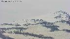 area4-20250506160105.jpg