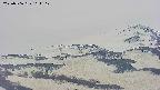 area4-20250506161114.jpg