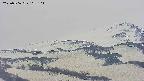 area4-20250506163104.jpg