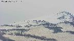 area4-20250506165106.jpg