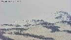 area4-20250506171113.jpg