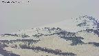 area4-20250506172117.jpg
