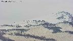 area4-20250506173109.jpg