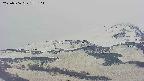 area4-20250506175104.jpg