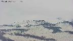 area4-20250506182105.jpg