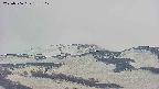 area4-20250506183104.jpg