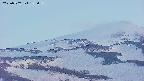 area4-20250507185057.jpg