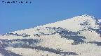 area4-20250508073057.jpg
