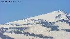 area4-20250508103213.jpg