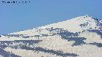 area4-20250508104130.jpg
