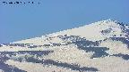 area4-20250508111142.jpg