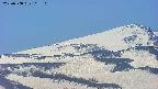 area4-20250508113112.jpg