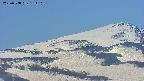 area4-20250508131114.jpg