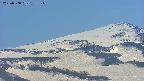 area4-20250508133132.jpg