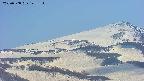area4-20250508142147.jpg