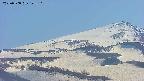 area4-20250508143125.jpg